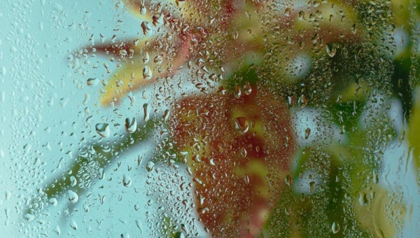 Efektivní řešení vlhkosti a plísní v bytech: Větrání s rekuperací