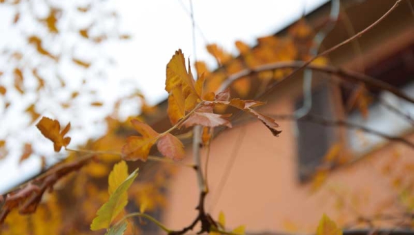 Jak připravit dům na topnou sezónu: Větrání bez ztráty tepla